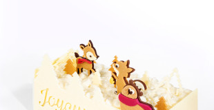 Collection fêtes 2025