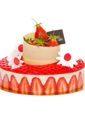 Fraisier 6 pers